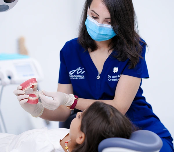 Appolonia Dentistry