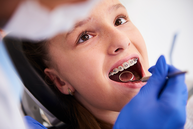 Appolonia Dentistry